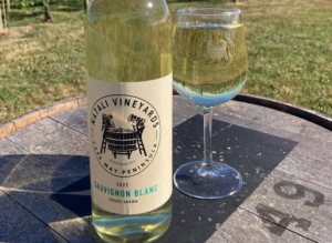 sauvignon blanc